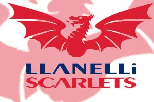 At least his side ended a run of 10 successive Heineken Cup defeats At least his side ended a run of 10 successive Heineken Cup defeats