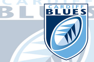 Cardiff Blues captain Andries Pretorius says his side can take belief from their performance against Toulon in the Heineken Cup Cardiff Blues captain Andries Pretorius says his side can take belief from their performance against Toulon in the Heineken Cup
