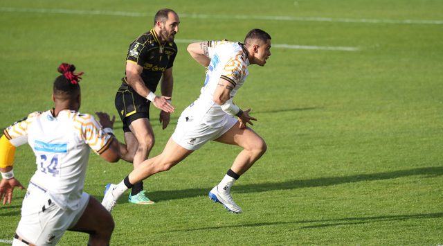 Barbeary hat-trick as Wasps overcome Biarritz