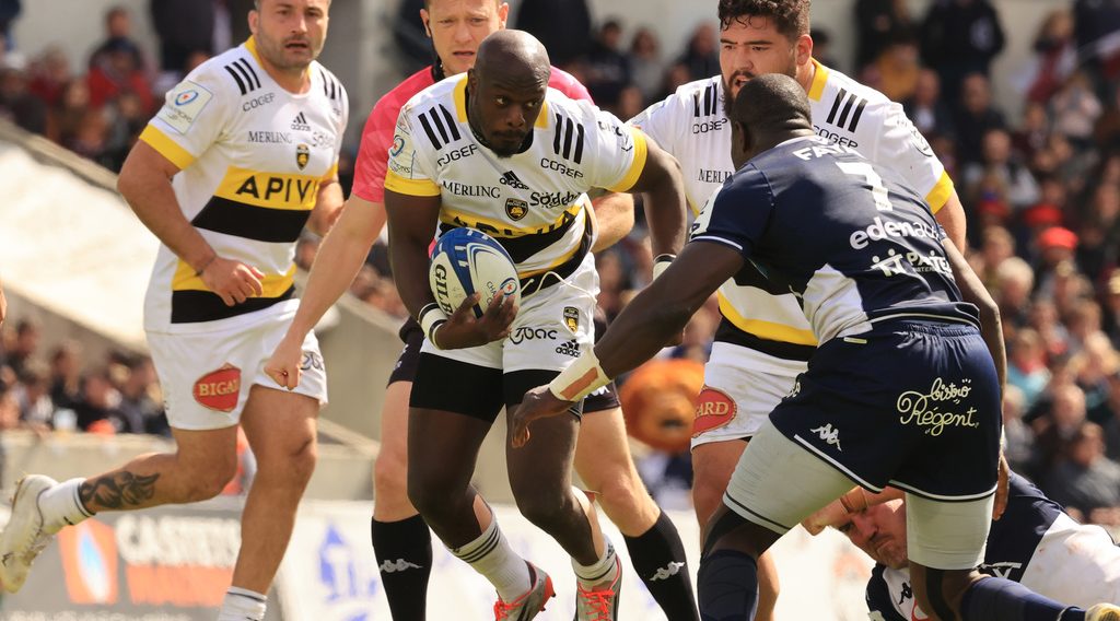 Les stars sud-africaines de la Champions Cup : le Stade Rochelais Les stars sud-africaines de la Champions Cup : le Stade Rochelais