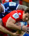 Les stars des tournois de l’EPCR à l’honneur dans les Six Nations